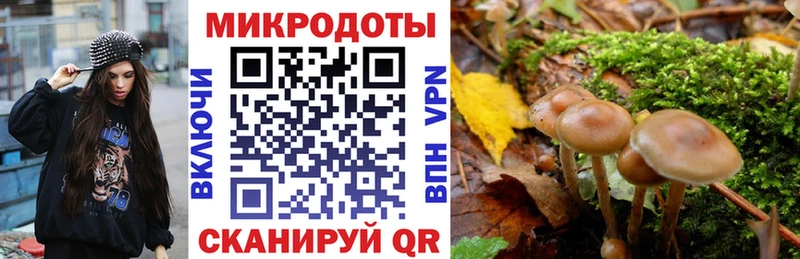 Купить  Ленинск-Кузнецкий  Галлюциногенные грибы Magic Shrooms 