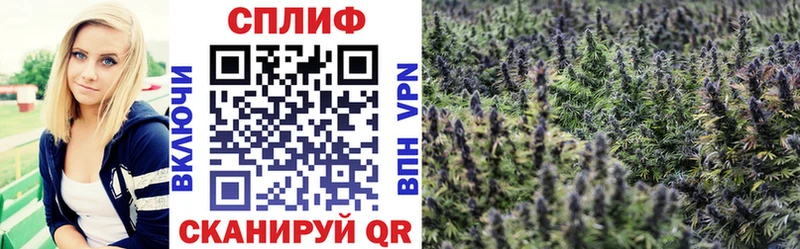 Бошки Шишки тримм  Купить где  Ленинск-Кузнецкий 